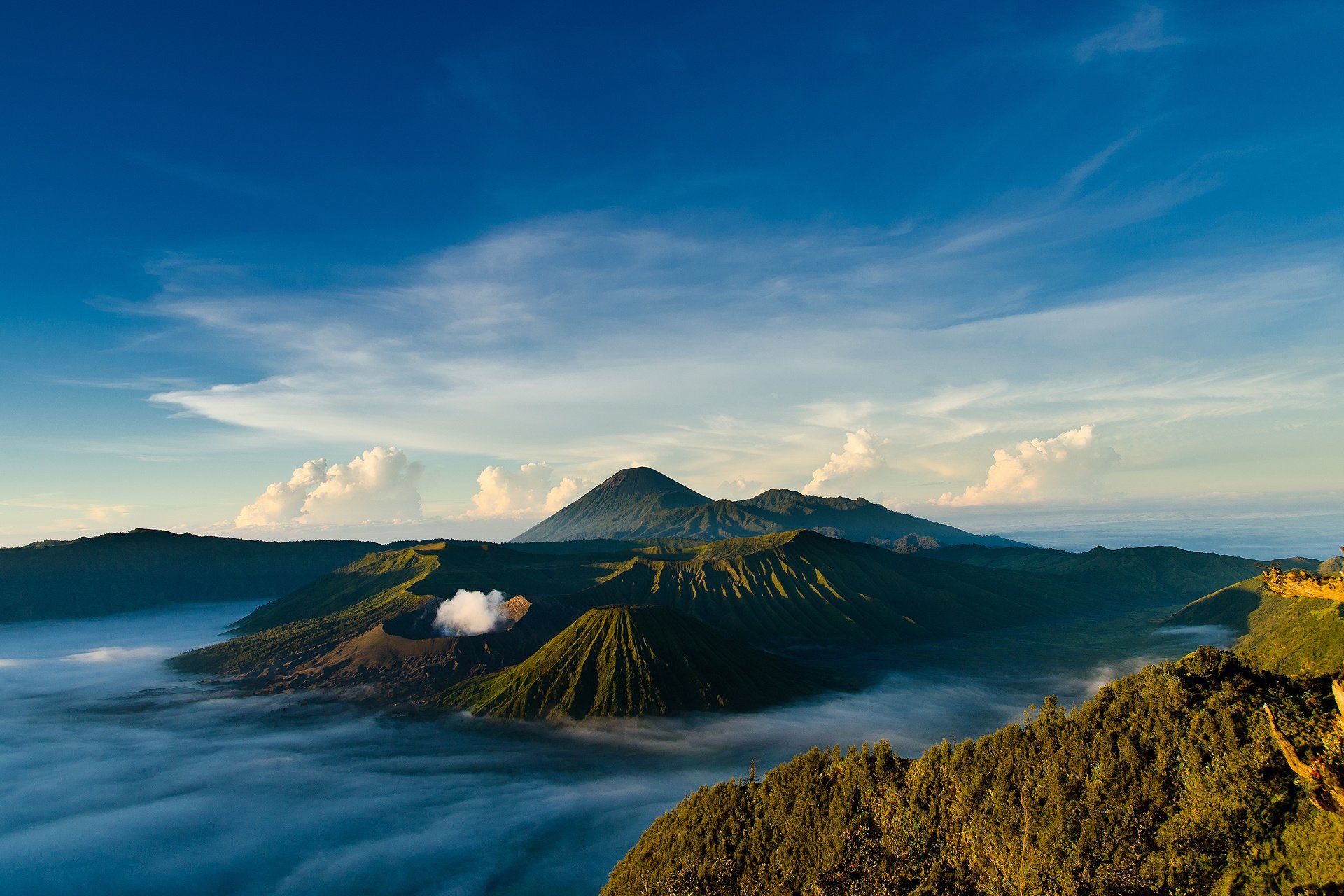essay ayo indonesia bangkit